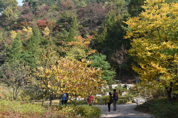 영인산수목원 이미지